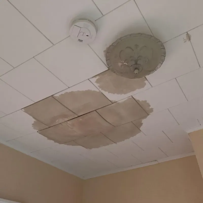 Ceiling Water Damage Repair in Newton, NC