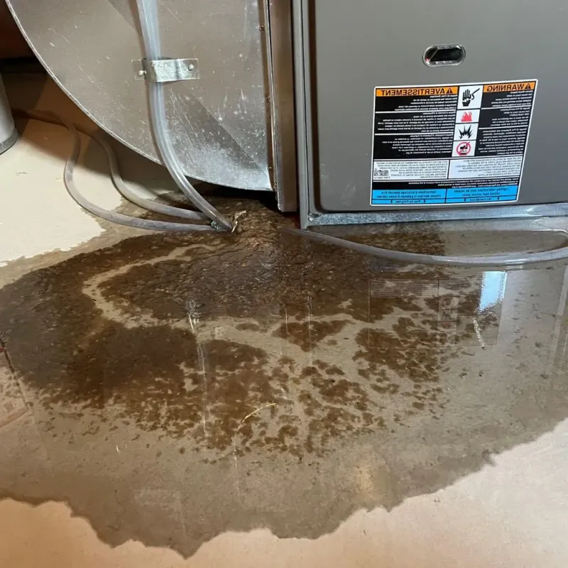 Pipe Burst and Leak Restoration in Newton, NC