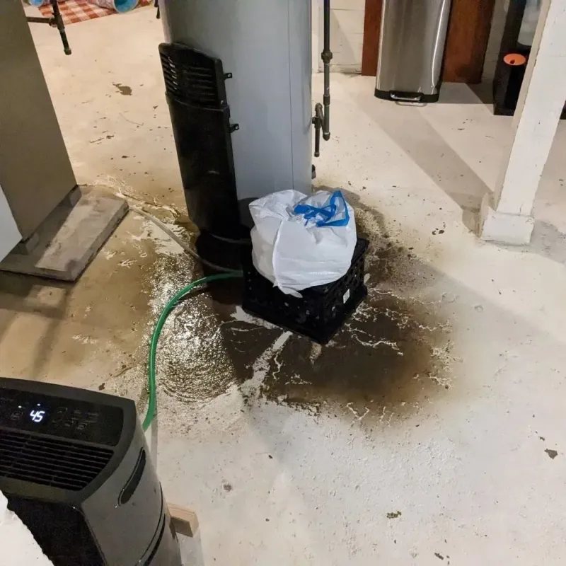 Sewage Backup Cleanup Service in Newton, NC